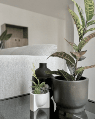 pexels-pixabay-276724 pexels-pixabay-276724