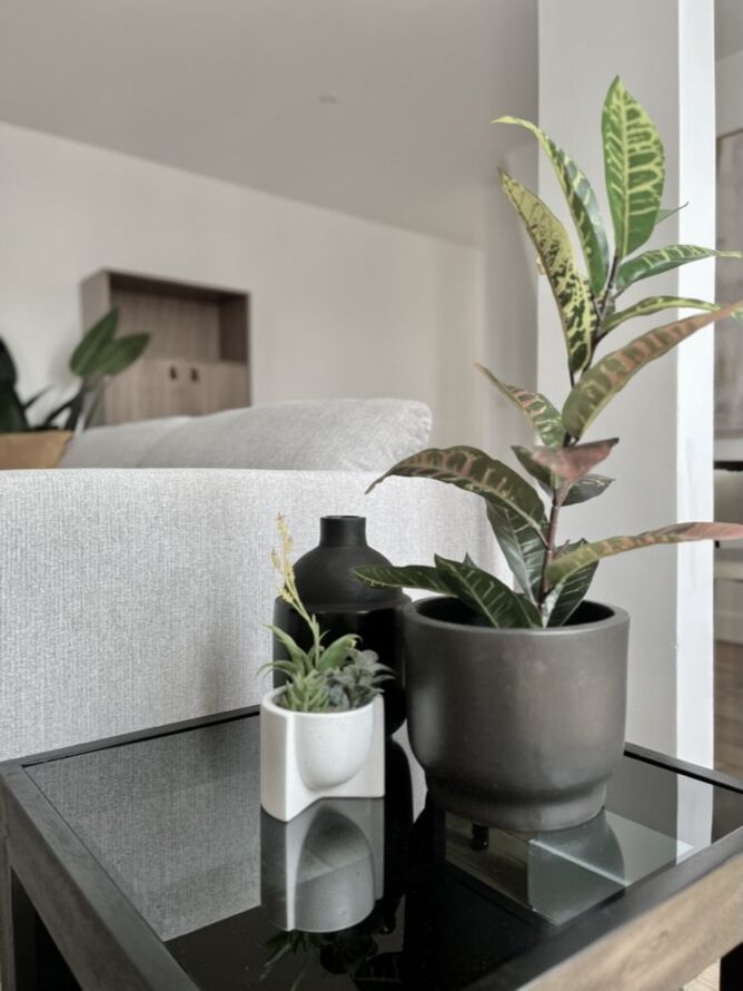 E12D2DF8-68C9-4187-B142-88859631BCE3_1_105_c